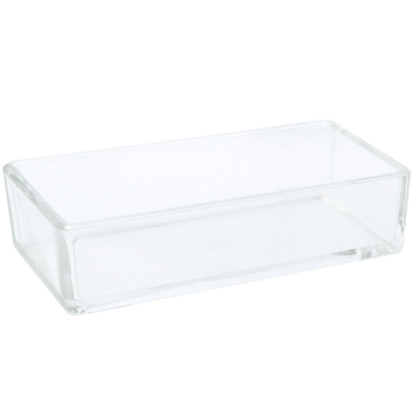 Instrumentenschale aus Glas ohne Deckel